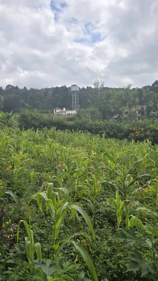 Ngong-Bondeni | 50x100 Plot | Kshs 2.5M