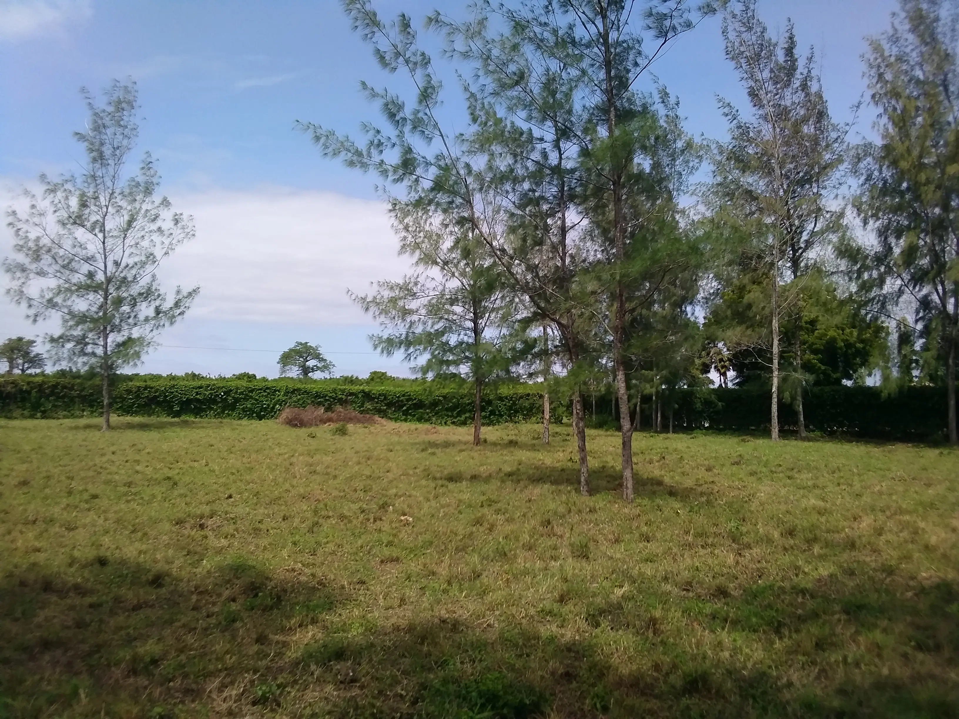 Beautiful building plots Diani Beach Kenya - Galu Kinondo - Beachplot