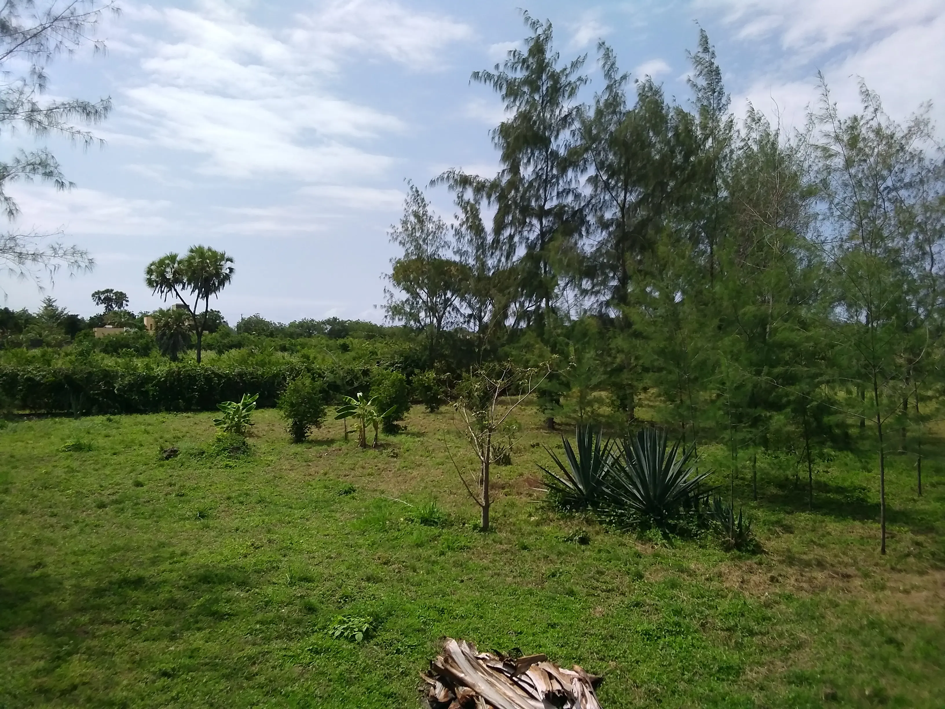 Beautiful building plots Diani Beach Kenya - Galu Kinondo - Beachplot