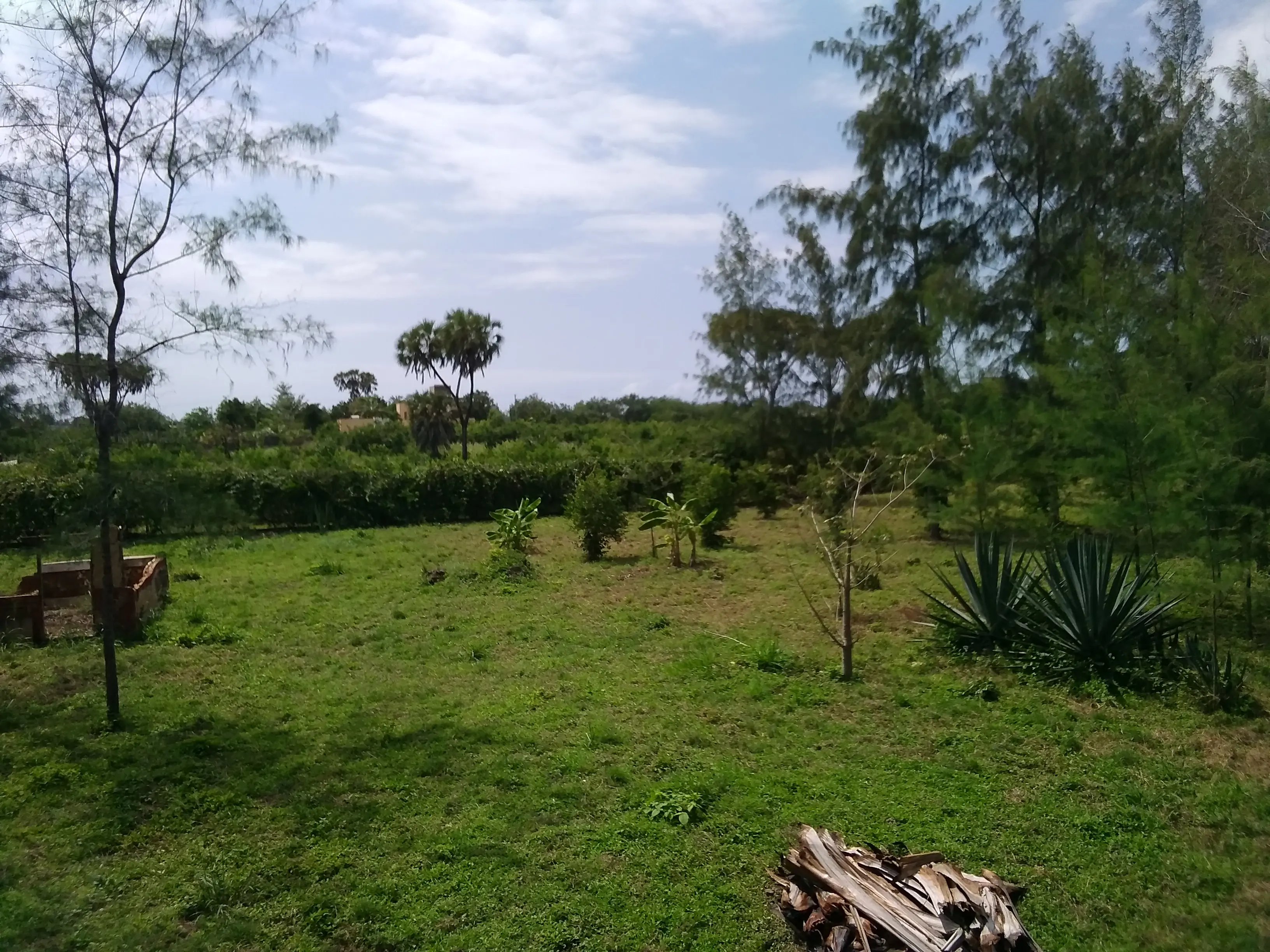 Beautiful building plots Diani Beach Kenya - Galu Kinondo - Beachplot