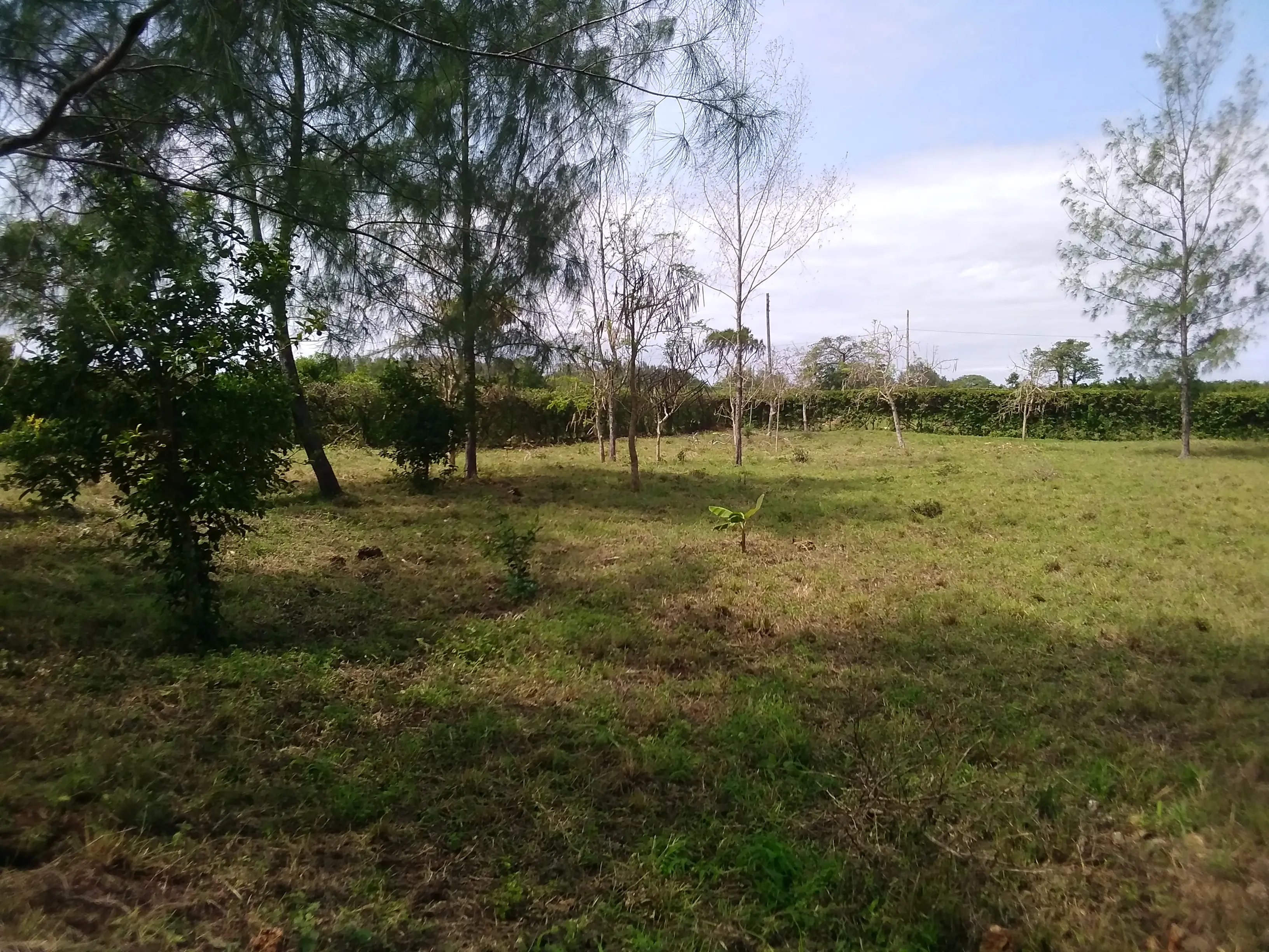 Beautiful building plots Diani Beach Kenya - Galu Kinondo - Beachplot