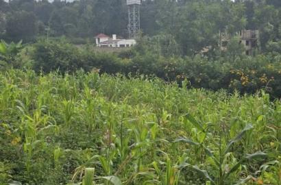 Ngong-Bondeni | 50x100 Plot | Kshs 2.5M