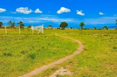 1/2 Acre for Sale in Machakos – Near Konza Tech City | Only Ksh 1.3M (Negotiable)